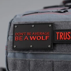 45L Backpack Anvil Gray -Wolfpak B352D152 5F57 4617 AEC3 E01361A64983